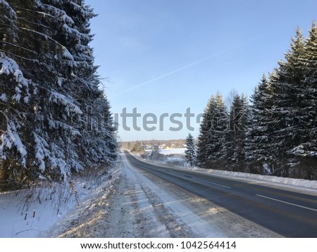 Winter road in forest