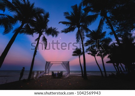 beautiful twilight landscape silhouette coconut special night good view dinner wedding in love space on colorful blue sky and the sea backgrounds Royalty-Free Stock Photo #1042569943