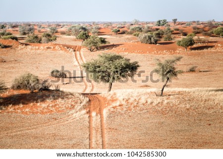 Kalahari Desert, dunes and red sand road, Namibia, Africa
