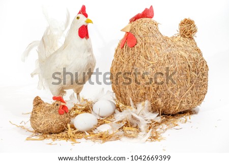 Chickens with eggs season easter setting isolated on white background