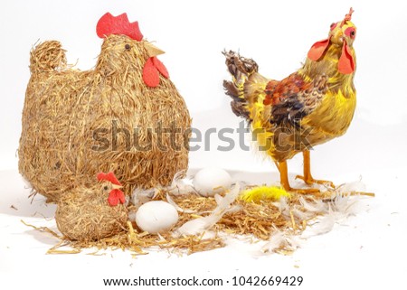 Chickens with eggs season easter setting isolated on white background