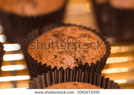 chocolate cupcakes with icing