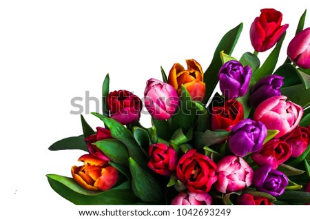 Bouquet with colorful tulips on white background. Selective focus.
