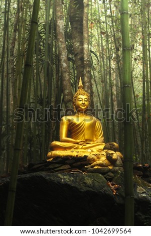 Golden Buddha statue in green bamboo background at Doi Chang Buddhist place in Chiangrai Thailand.