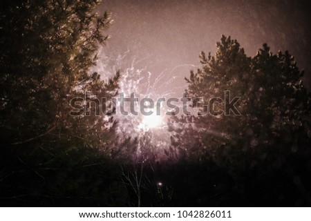 Beautiful colorful fireworks display for celebration on dark background with blur stars, New year holiday in the fir forest