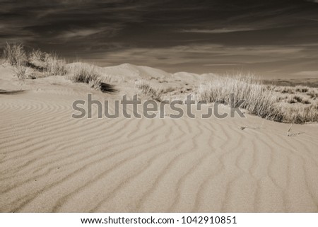 Dramatic Black and White view of Kelso dunes with sepia toning