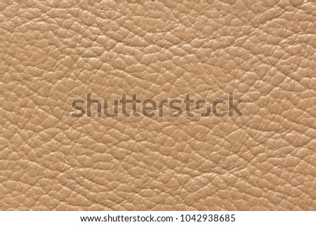 Amazing light leather texture with relief surface. High resolution photo.