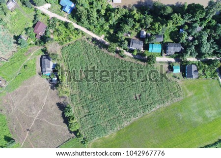 Top view or Aerial view of landscape village countryside and green field, Thailand on green trees nature and mountain background - Take a photo by drone camera