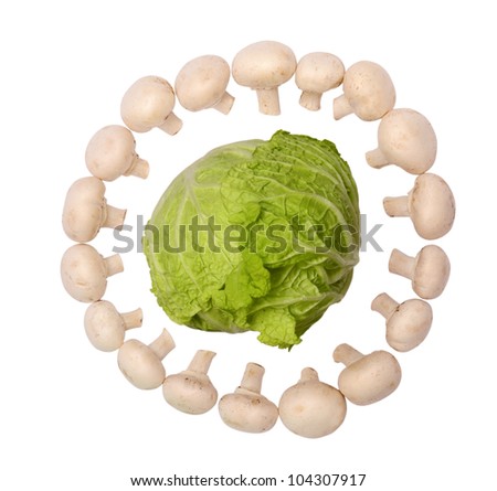 cabbage with agarics a horizontal picture