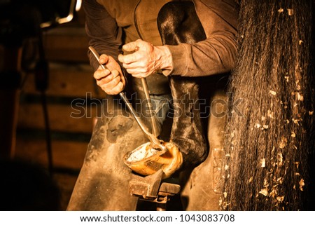 blacksmith working with a horse