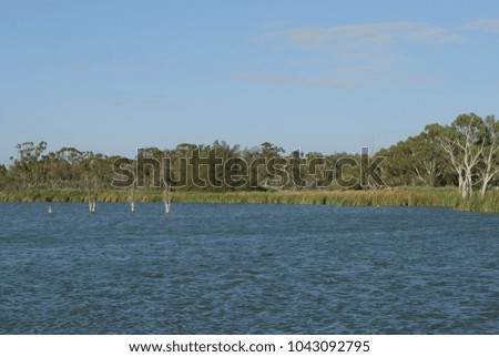a lake full of water used for skiing and fishing with grass and trees on the shoreline on a sunny day