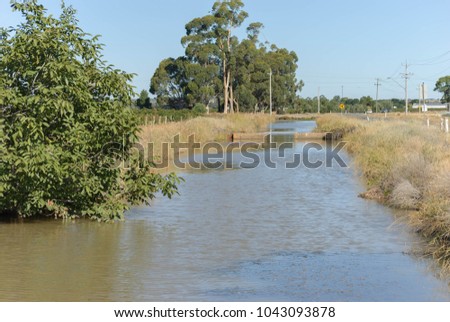 an irrigation channel full of water with fruit crop and road either side on a clear sunny day