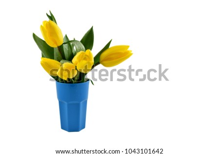 Yellow tulips in blue vase stock images. Yellow tulips on white background. Spring floral decoration. Spring background concept. Yellow tulips bouquet in vase