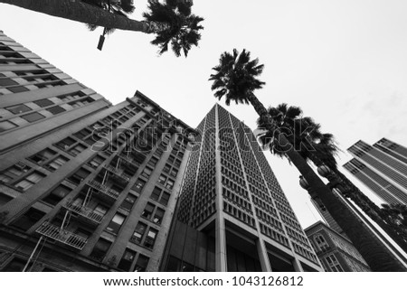 Palm trees and historic buildings in downtown Los Angeles. Southern California, USA