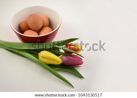 Colorful tulips with Easter Eggs stock images. Easter decoration on a white background. Spring decoration images. Bouquet of colorful tulips