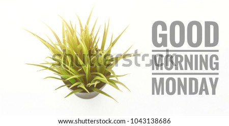conceptual images of top view plant in pots and word-Good morning Monday with isolated white background