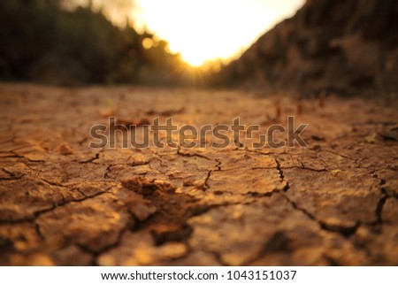 Image drying cracked soil in the sunset rays.  Selective focus. Low angle view. Room for text. Royalty-Free Stock Photo #1043151037
