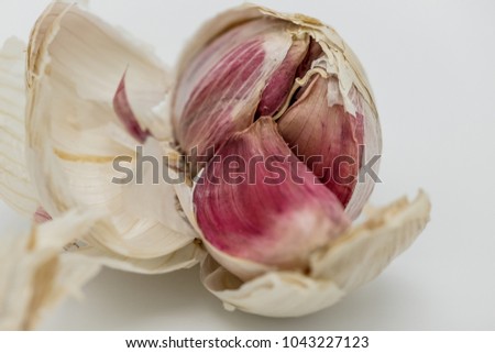 Macro photography of an opened, dried Garlic bulb showing some of the Garlic cloves which will be used in an Italian cooking ingredient. The bulb is seen on a kitchen table, during preparation.