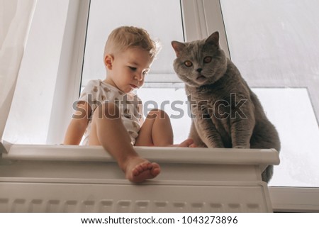 boy sits on a window sill with a cat and plays in games