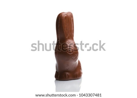 Chocolate hare isolated on white background, different foreshortening, easter