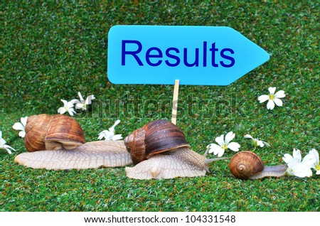 Three snails rushing to the results