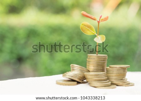 Coins for saving and blurry background,Economic concept for growth,Business finance,Medal of Thailand