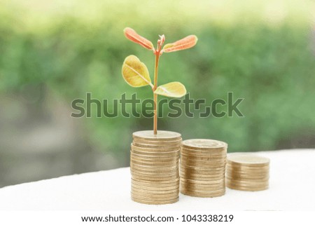 Coins for saving and blurry background,Economic concept for growth,Business finance,Medal of Thailand