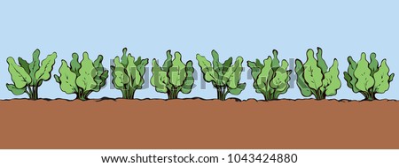 Eco fresh healthy green raw turnip bush sapling culture sow product patch on blue sky background. Bright color hand drawn spring rural herb seed yield scene in retro cartoon style with space for text Royalty-Free Stock Photo #1043424880