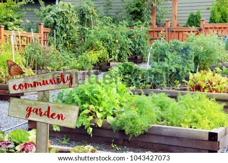 Lush and organic community vegetable, fruit and herb garden in summer with wooden sign.  