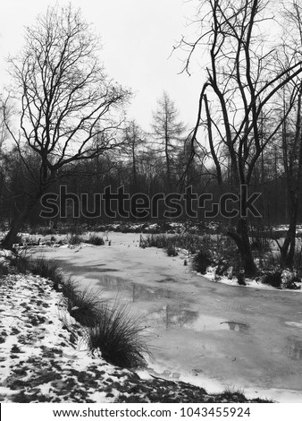 Snowy woodland scene with pond - black and white