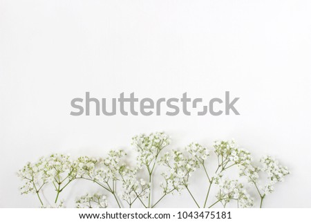 Styled stock photo. Feminine wedding desktop with baby's breath Gypsophila flowers on  white background. Empty space. Floral frame, web banner. Top view. Picture for blog or social media.