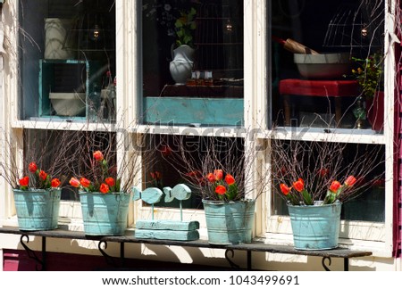 Red Tulips in a Window