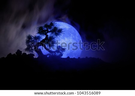 Silhouette Tree on full moon background. Full moon rising above japanese style tree against toned foggy sky. Decorated photo