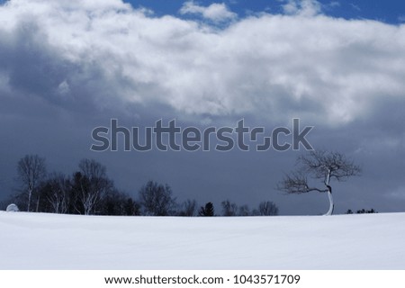 Trees in a snowy field under overcast, cloudy sky.