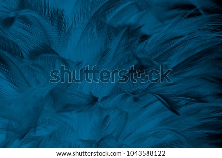 Beautiful close up dark blue toner color feather pattern texture background