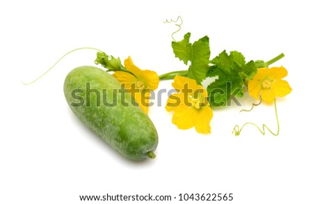 Winter melon fruit with leaf and flower isolated on white background