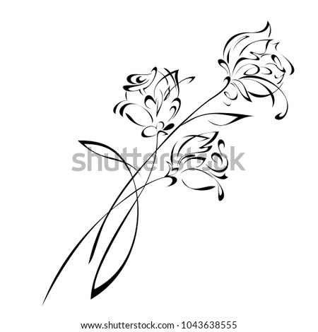 three stylized roses in black lines on white background