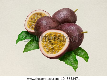 PassionFruit Watercolor edit in Program from Reference