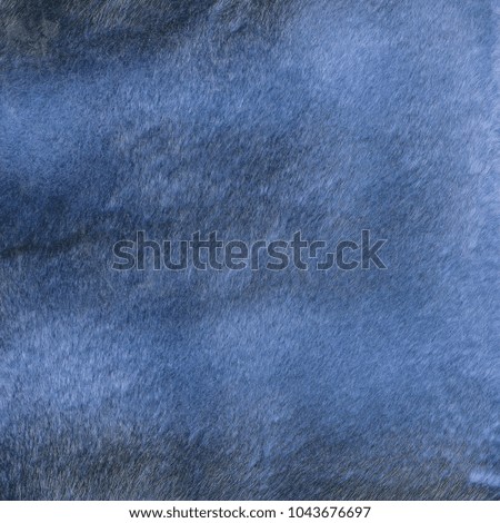 painted blue natural fur texture, useful as background