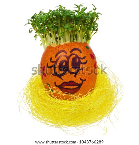 Easter egg painted in a funny smiley face and colorful patterns in a yellow bird's nest with cress like hair. The watercress stylized for the hairstyle of the character. Egg in multicolored patterns