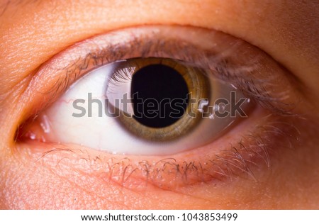 A young woman's eye with dilated pupil - close up Royalty-Free Stock Photo #1043853499