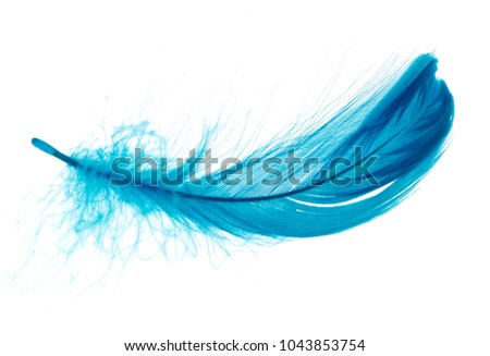 Beautiful blue feather on white background Royalty-Free Stock Photo #1043853754