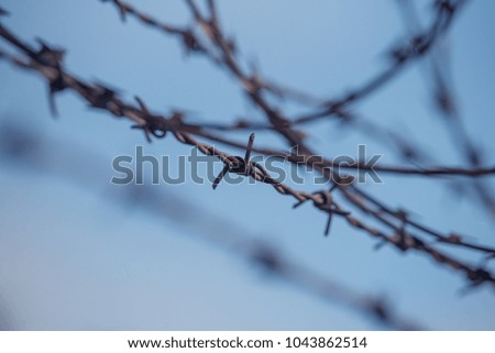 Barbed wire fence.
