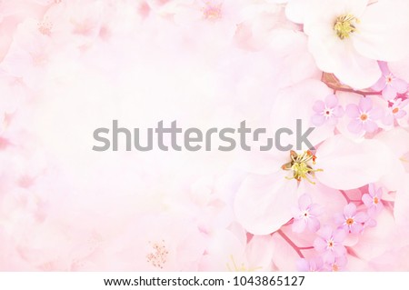 Spring blossom/springtime apple bloom, pink flowers background, pastel and soft floral card, selective focus, toned