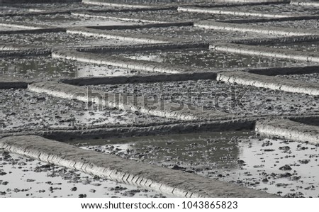Gray background of rhombuses. Natural background of squares, rice fields, mud. The effect of metal.