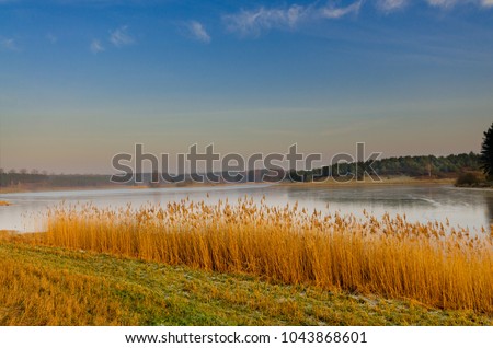 Borzyszkowy lake shore, Kaszuby region, Pomeranian voivodeship, Poland, Europe