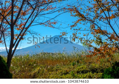 Beautiful Fuji mountain in autumn season at Japan