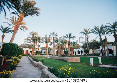 beautiful nature, trees and green grass, pavement and tiles