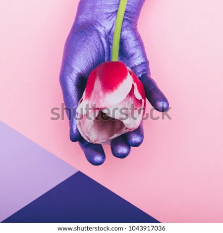 pearly purple hand is holding tulip flower. ultra violet concept. minimal. beauty and fashion. pastel colors