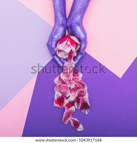 painted pearly purple hands scatter the tulip flower and petals. ultra violet concept. beautiful pastel minimalism. fashion spring